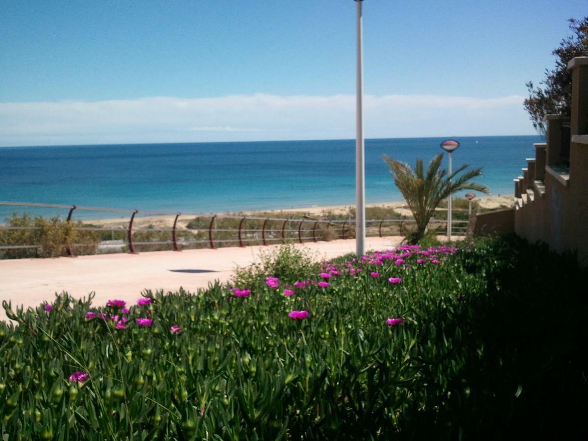 Bungalow Arenales Del Sol, Alicante Exteriör bild